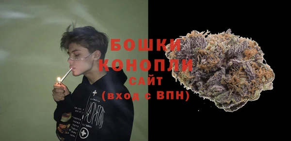 ALPHA PVP Покачи