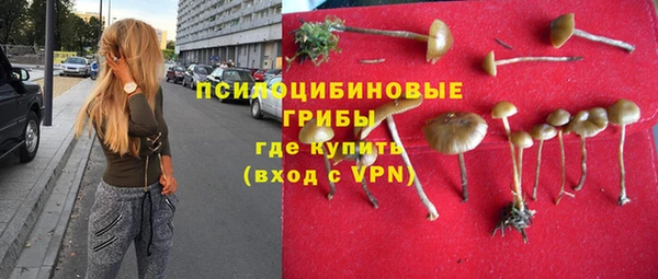 ALPHA PVP Покачи