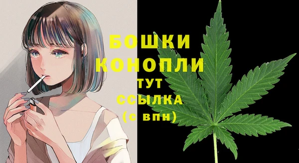 spice Покровск