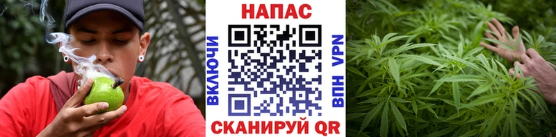 Шишки марихуана план как найти Лысьва